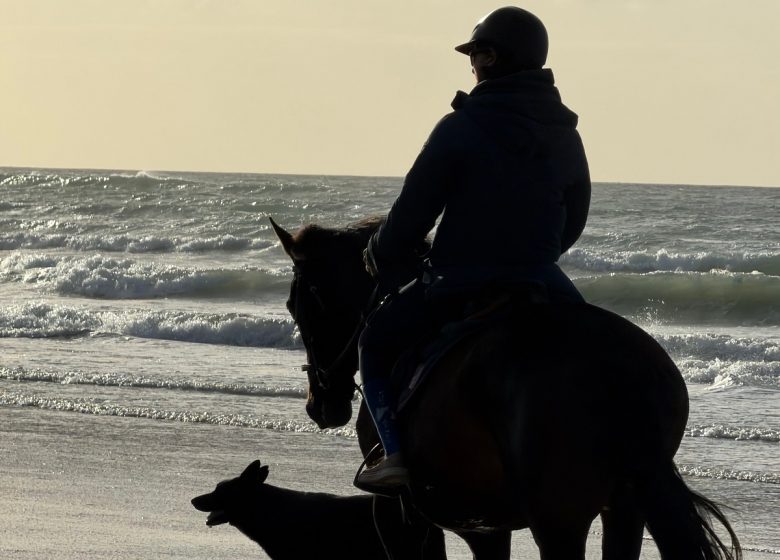 les-etriers-de-la-plage-1