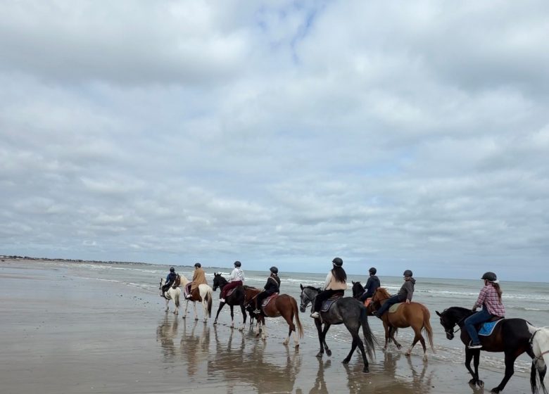 les-etriers-de-la-plage-3