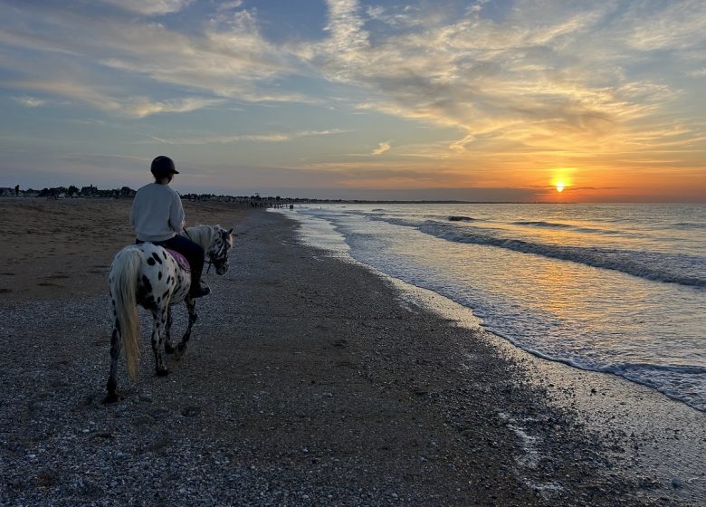 les-etriers-de-la-plage-5