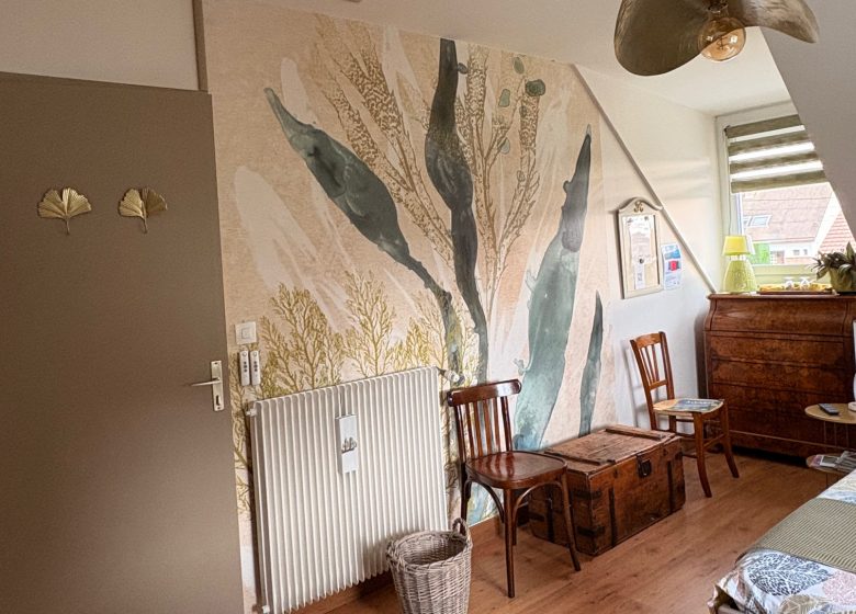 les-micha-chambre-algues-2