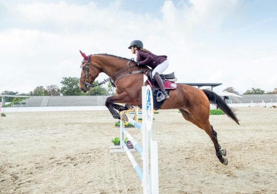 Saut d&rsquo;obstacle