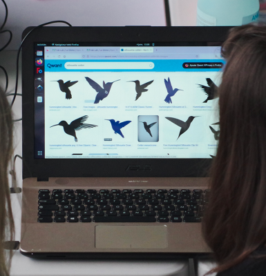 Fabrication de mangeoire à oiseaux