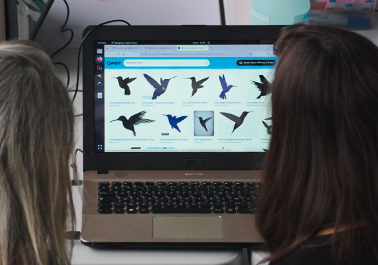 Comptage des oiseaux