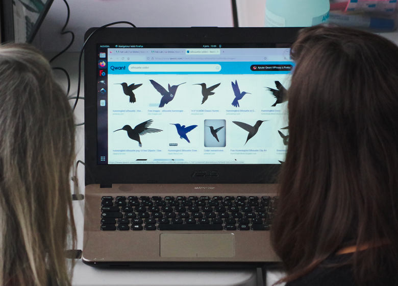 Comptage des oiseaux