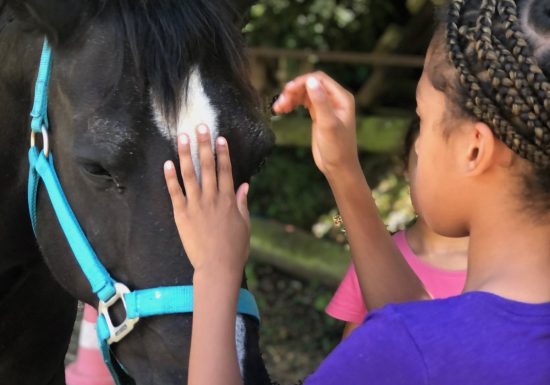 Murmurer à l&rsquo;oreille des chevaux