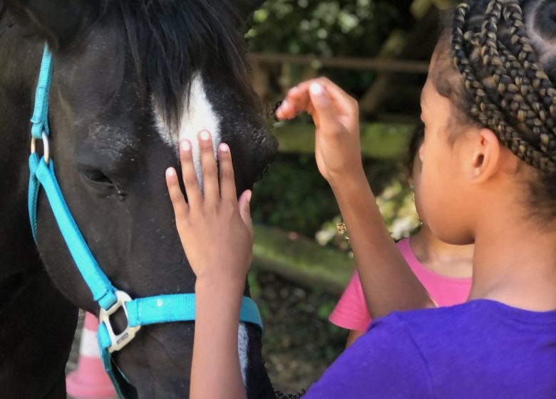 adolescent enfant murmurer à l'oreille des chevaux