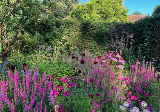 Jardin en chambre le jardin pourpre
