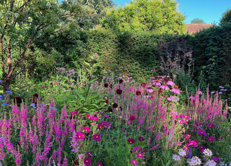 Jardin en chambre le jardin pourpre
