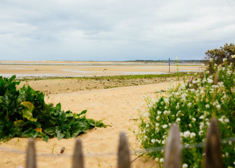 pointe-du-siege-caen-la-mer-agence-les-conteurs-800×600