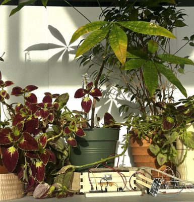 Atelier « Vous avez du pot (connecté) ! »