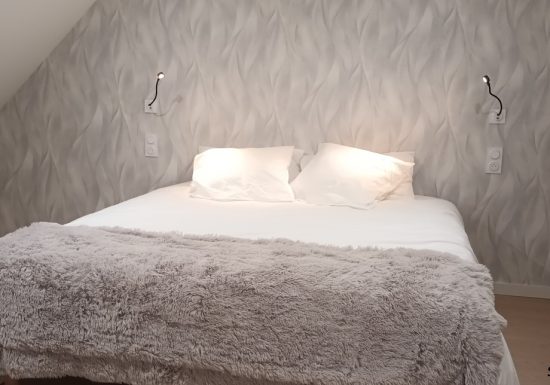 rsz_1hirondailes2©alalueurdespres