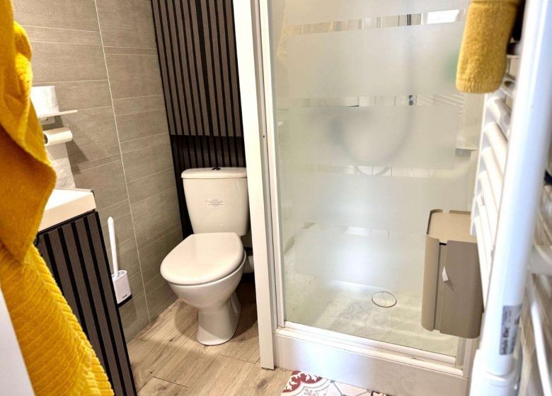 salle de douche avec wc intégré