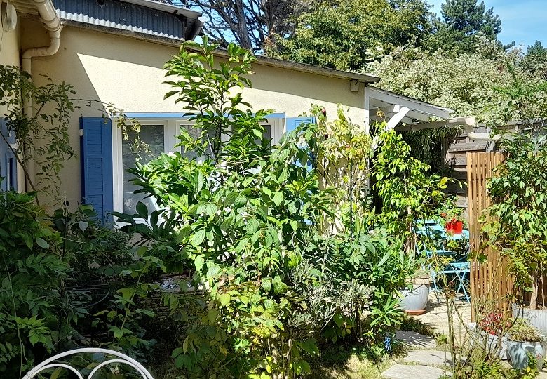 table extérieur soleil