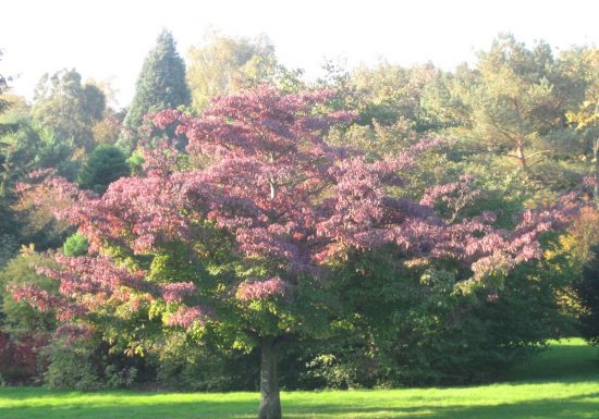 vallee-des-jardins-1