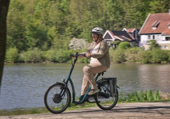 balance e-bike with low step through