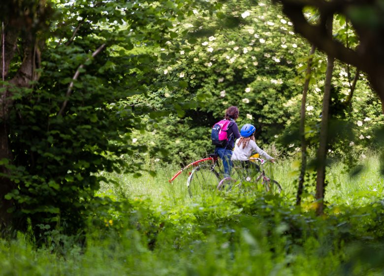 Promenade à vélo dans le marais de l&rsquo;Orne et de la Noë.