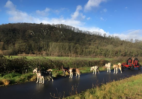 Will go to Park Condé-en-Normandie